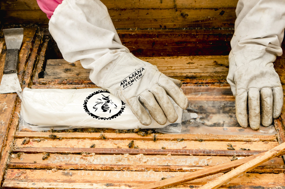 Obrázek Quand commencer le nourrissement de stimulation et quels sont ses avantages ?