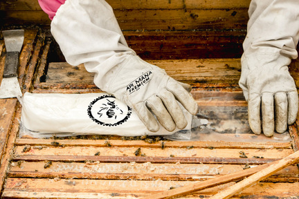 Obrázek Quand commencer le nourrissement de stimulation et quels sont ses avantages ?