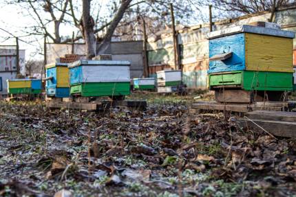 Obrázek Calendrier – mars 2024