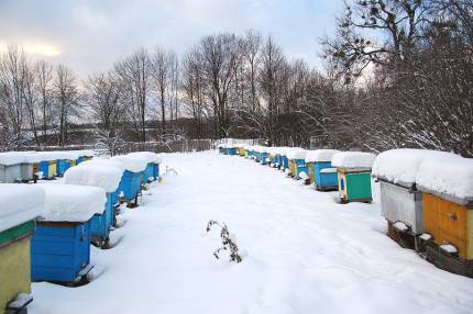 Obrázek Calendrier – février 2024