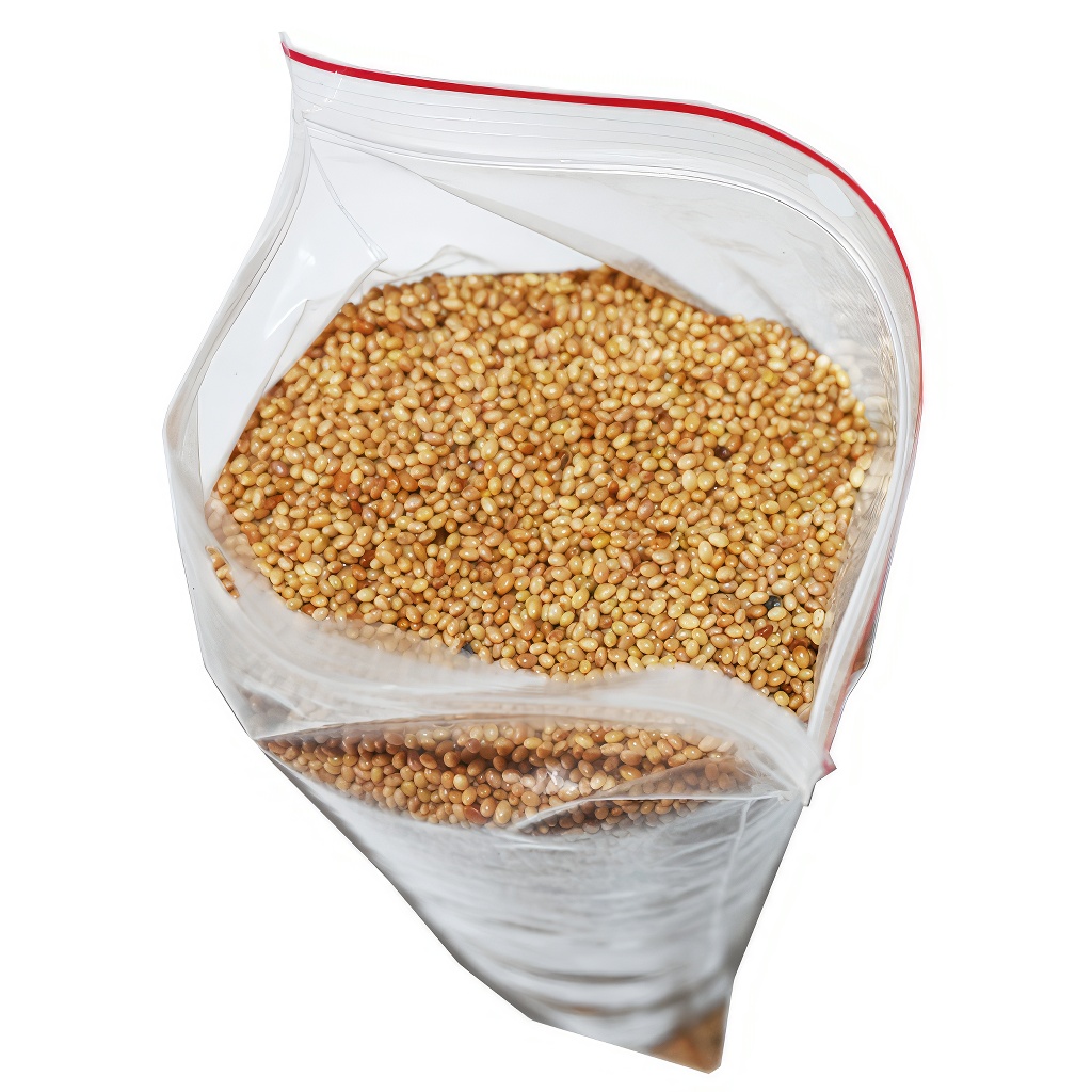 Trèfle incarnat (semences / pâturage apicole) - 0,5 kg