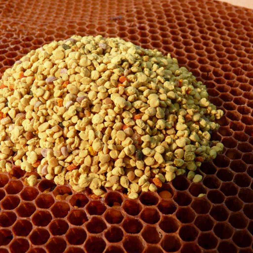 Pollen de fleurs Pleva - 100g