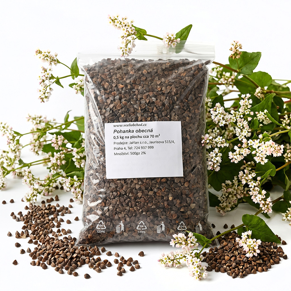 Sarrasin commun (semences / pâturage apicole) - 0,5 kg