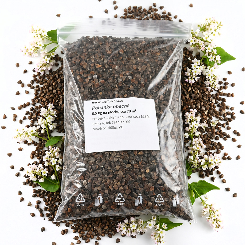 Sarrasin commun (semences / pâturage apicole) - 0,5 kg