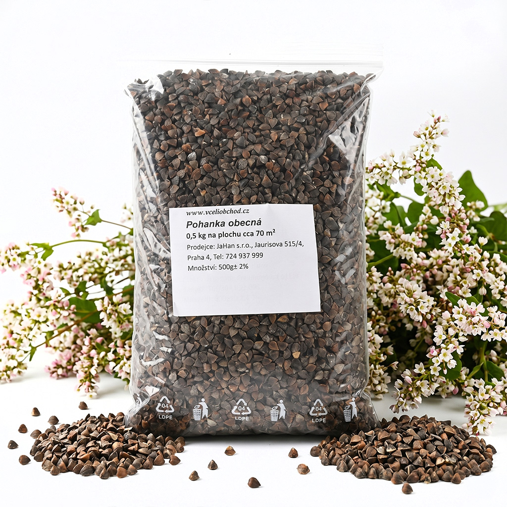 Sarrasin commun (semences / pâturage apicole) - 0,5 kg