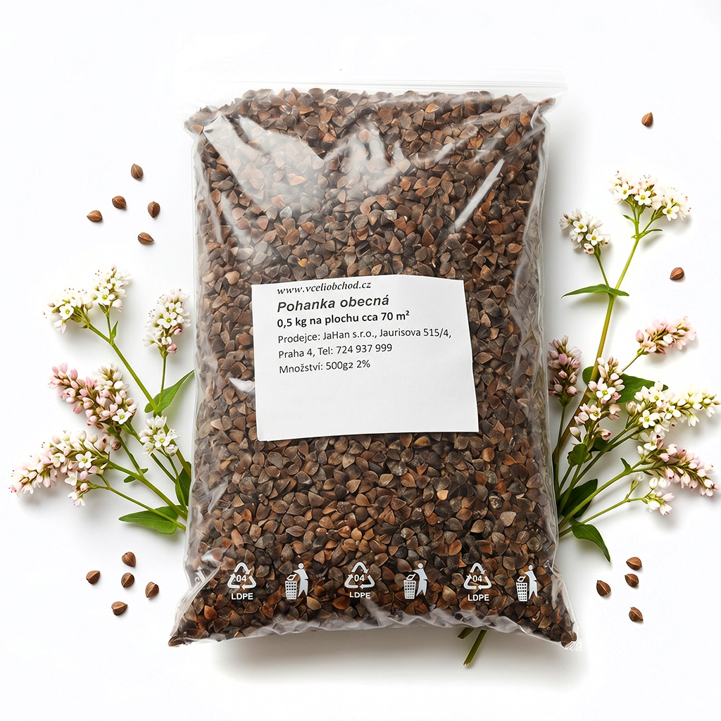 Sarrasin commun (semences / pâturage apicole) - 0,5 kg