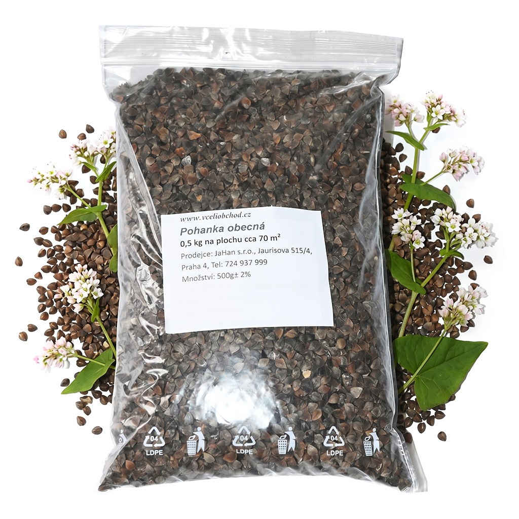 Sarrasin commun (semences / pâturage apicole) - 0,5 kg