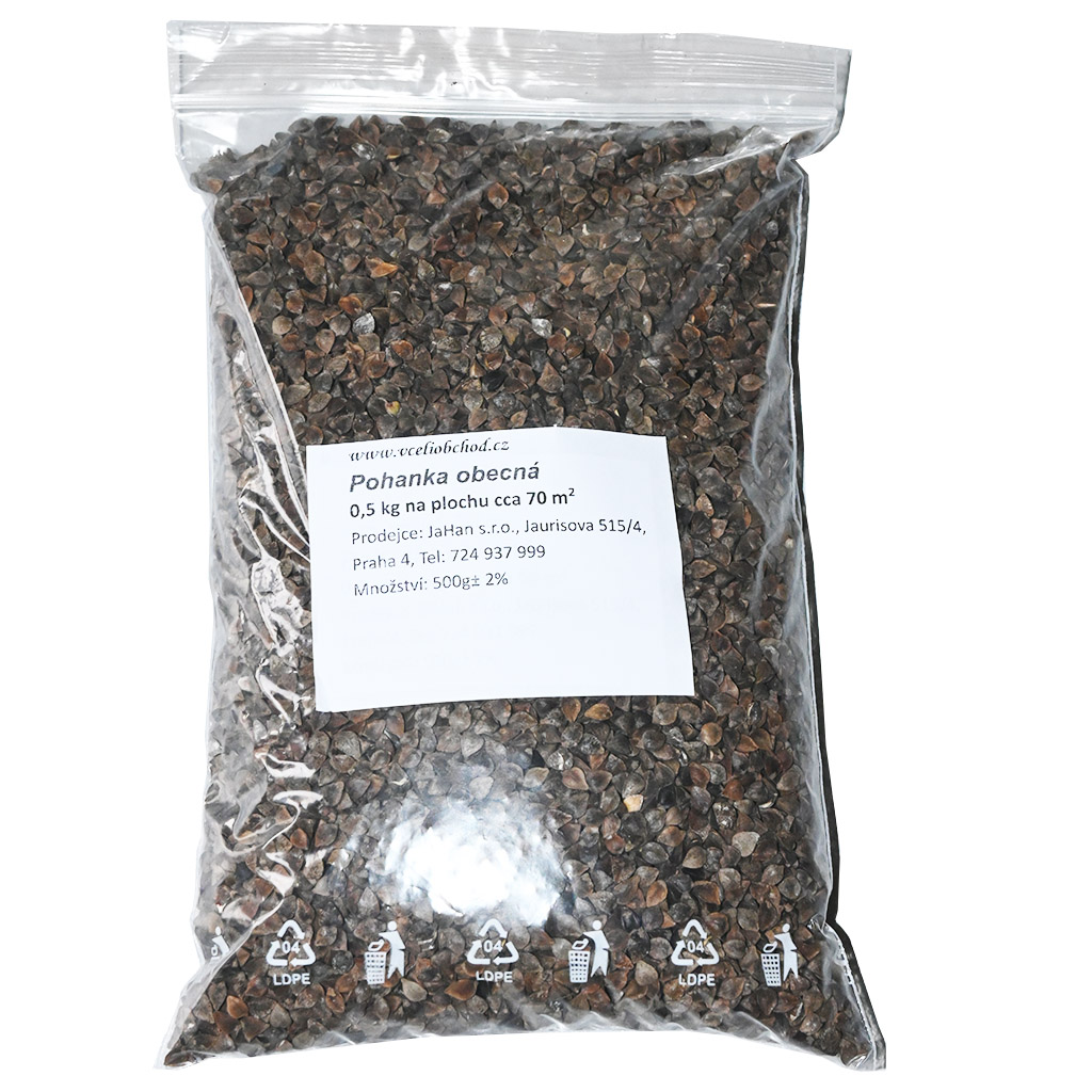 Sarrasin commun (semences / pâturage apicole) - 0,5 kg