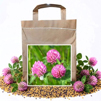 Trèfle des prés VENDELÍN - 1 kg