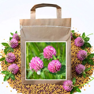 Trèfle des prés VENDELÍN - 1 kg