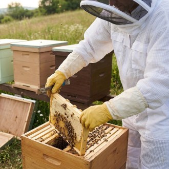 Combinaison professionnelle d'apiculture avec voile tailles: S-XXL