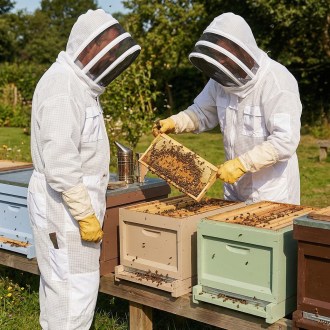 Combinaison professionnelle d'apiculture avec voile tailles: S-XXL