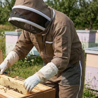 Combinaison d'apiculteur avec ventilation Elegant Bee taille : S-XXXXL