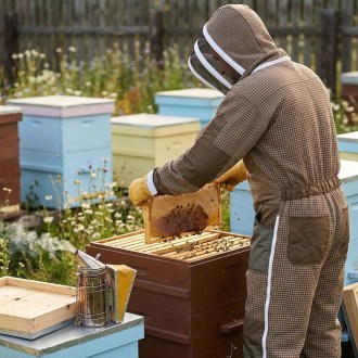 Combinaison d'apiculteur avec ventilation Elegant Bee taille : S-XXXXL