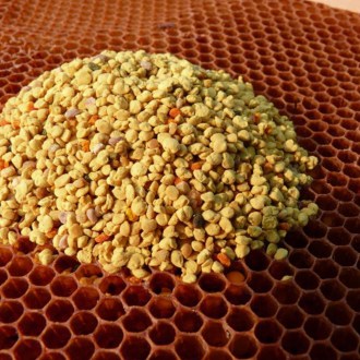 Pollen de fleurs Pleva - 100g