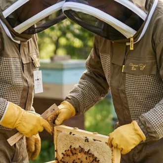 Combinaison d'apiculture avec ventilation partielle Elegant Bee taille : S-XXXXL
