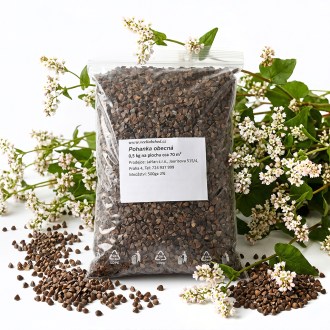 Sarrasin commun (semences / pâturage apicole) - 0,5 kg