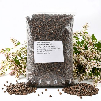 Sarrasin commun (semences / pâturage apicole) - 0,5 kg