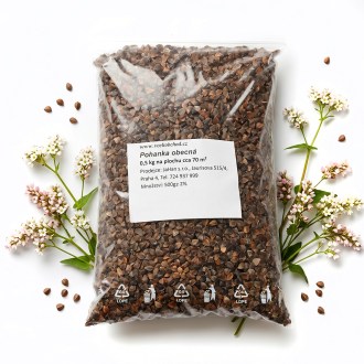 Sarrasin commun (semences / pâturage apicole) - 0,5 kg