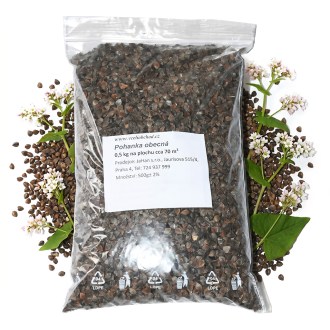 Sarrasin commun (semences / pâturage apicole) - 0,5 kg