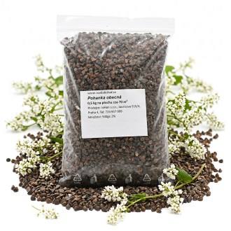Sarrasin commun (semences / pâturage apicole) - 0,5 kg