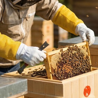 Gants d'apiculture - avec ventilation - taille : S-XXL
