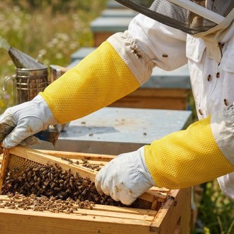 Gants d'apiculture - avec ventilation - taille : S-XXL