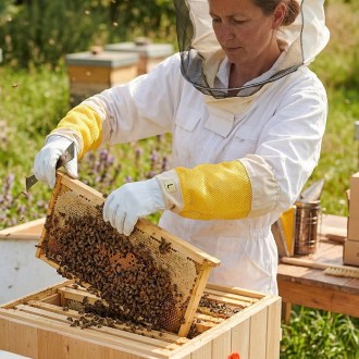 Gants d'apiculture - avec ventilation - taille : S-XXL