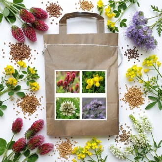 Mélange mellifère annuel Harmony pour abeilles type 1 - 1 kg