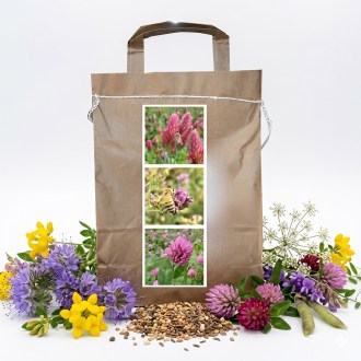 Mélange mellifère vivace de printemps pour abeilles - 1 kg