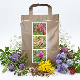 Mélange mellifère vivace de printemps pour abeilles - 1 kg
