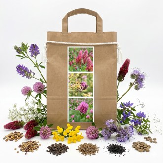 Mélange mellifère vivace de printemps pour abeilles - 1 kg