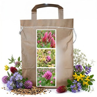 Mélange mellifère vivace de printemps pour abeilles - 1 kg