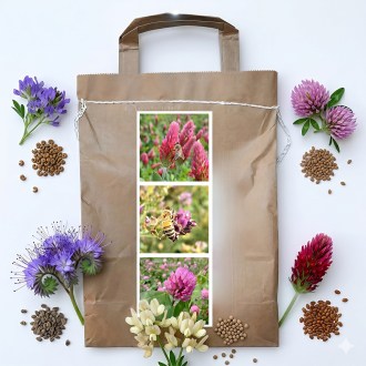 Mélange mellifère vivace d'été pour abeilles - 1 kg