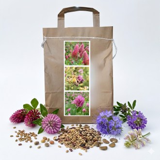 Mélange mellifère vivace d'été pour abeilles - 1 kg
