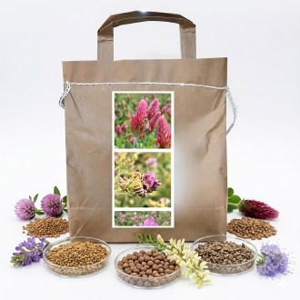 Mélange mellifère vivace d'été pour abeilles - 1 kg