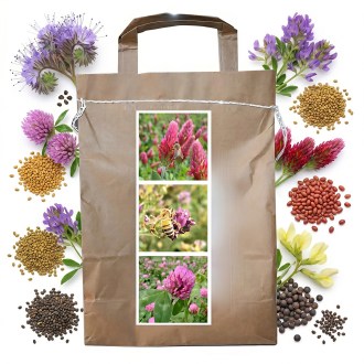 Mélange mellifère vivace d'été pour abeilles - 1 kg