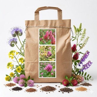 Mélange nectarifère annuel de printemps pour abeilles - 1 kg
