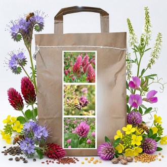 Mélange nectarifère annuel de printemps pour abeilles - 1 kg