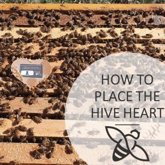 Capteur de ruche Bee Heart