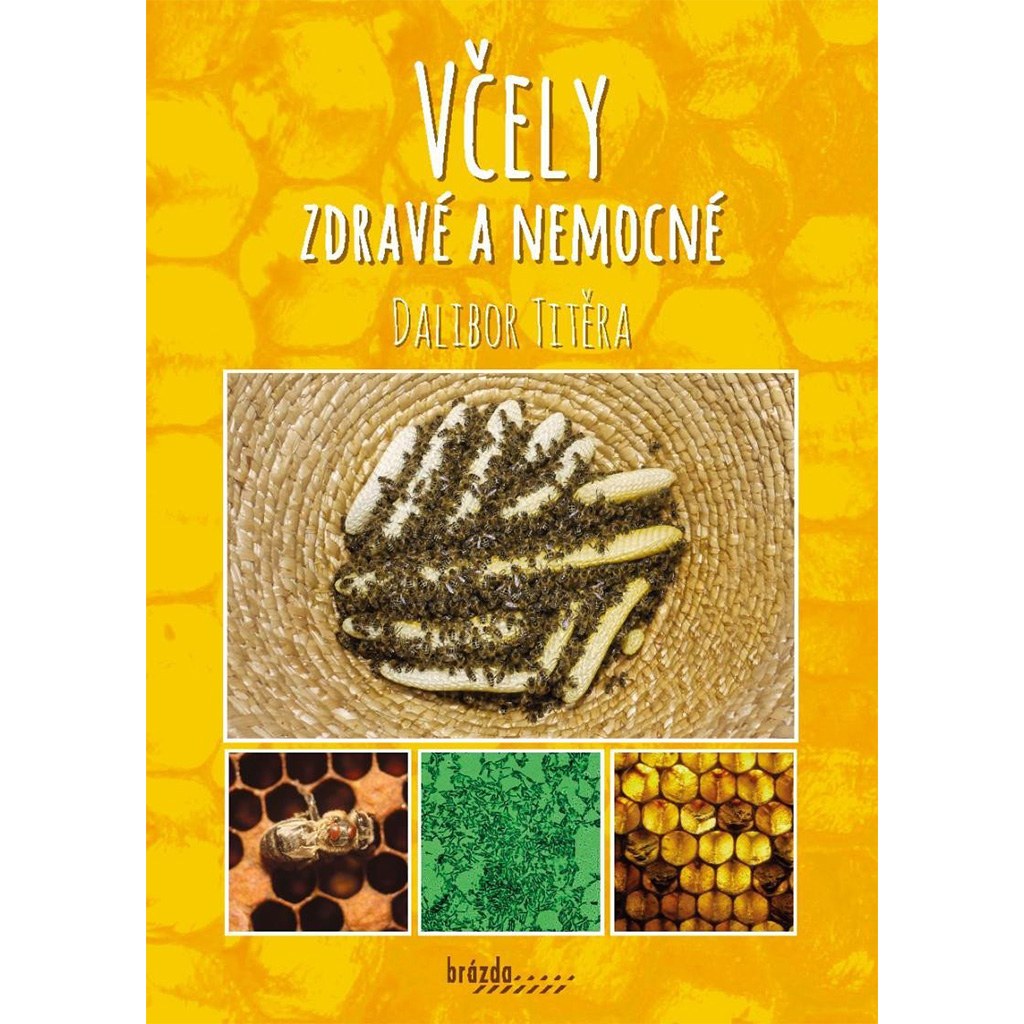 Abeilles saines et malades