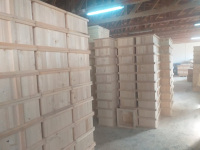producción de colmena de abejas